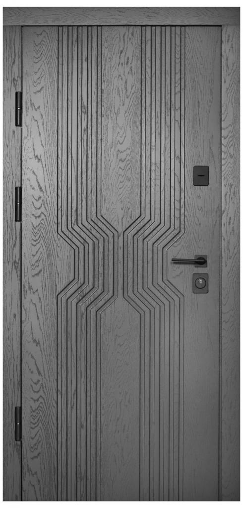 Входная дверь в квартиру Гранж-20